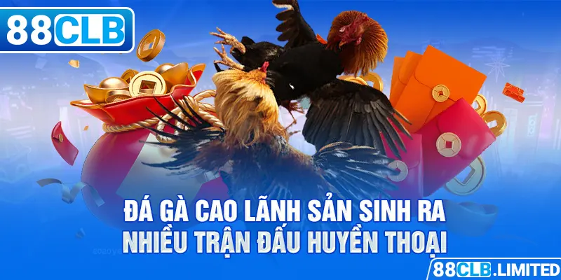 Đá gà Cao Lãnh sản sinh ra nhiều trận đấu huyền thoại