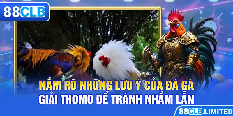 Nắm rõ những lưu ý của đá gà giải Thomo để tránh nhầm lẫn