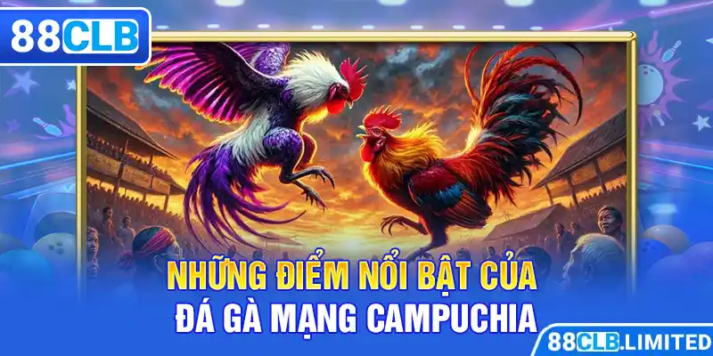 Những điểm nổi bật của đá gà mạng Campuchia