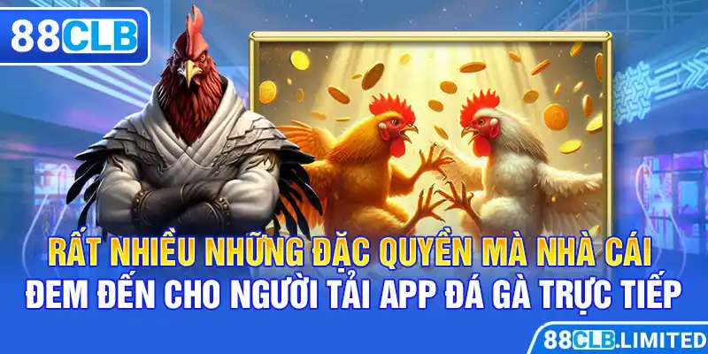 Rất nhiều những đặc quyền mà nhà cái đem đến cho người tải app đá gà trực tiếp