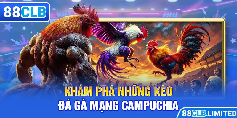 Khám phá những kèo đá gà mạng Campuchia