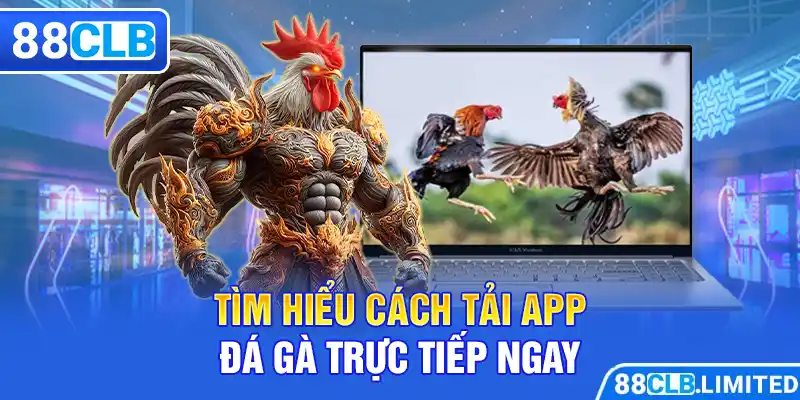 Tìm hiểu cách tải app đá gà trực tiếp ngay