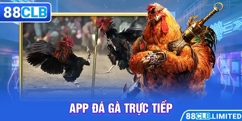 App Đá Gà Trực Tiếp 88CLB