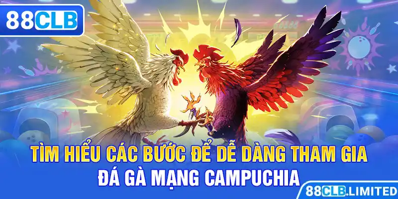 Tìm hiểu các bước để dễ dàng tham gia đá gà mạng Campuchia